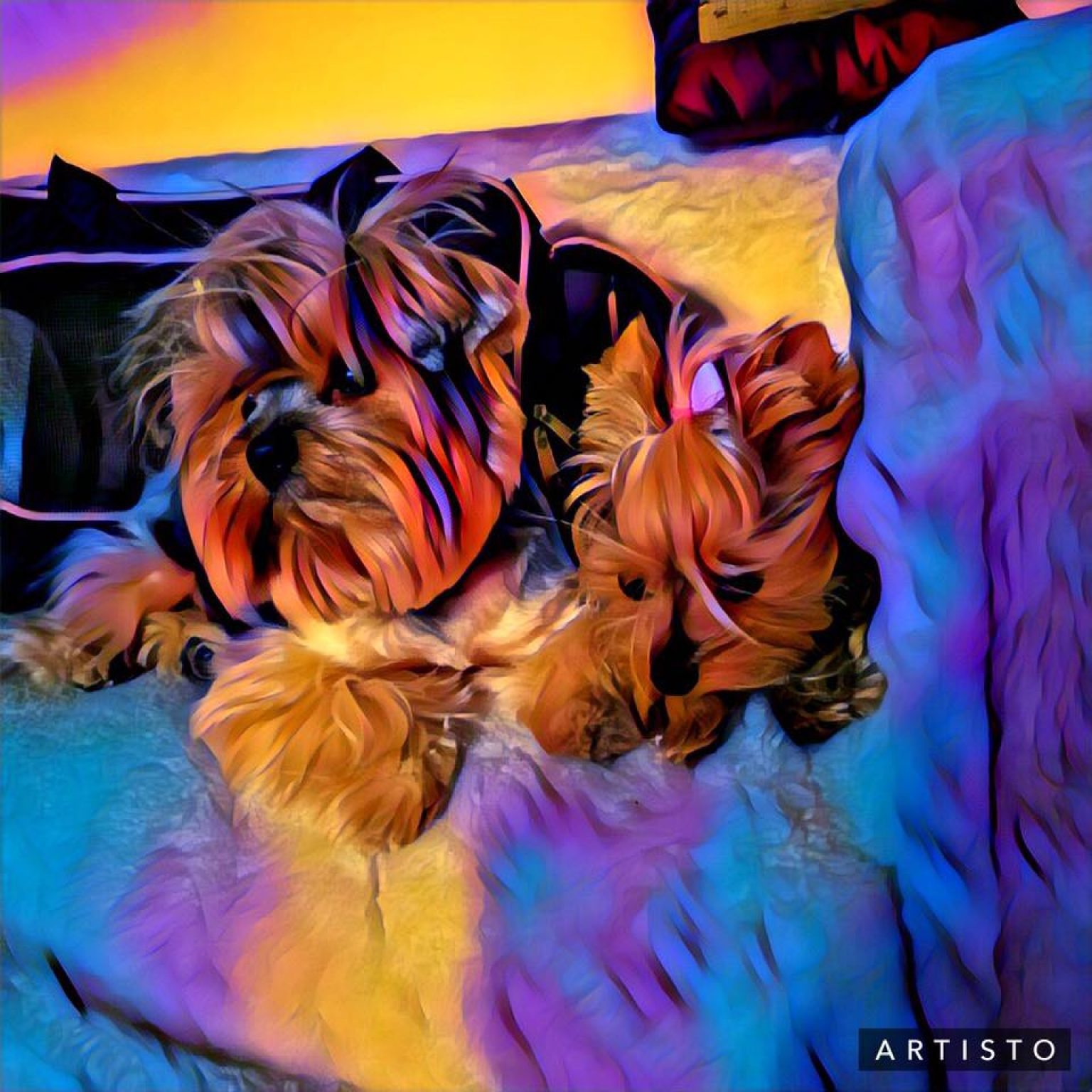 Fairmont Hotels Five Star Service For Pets