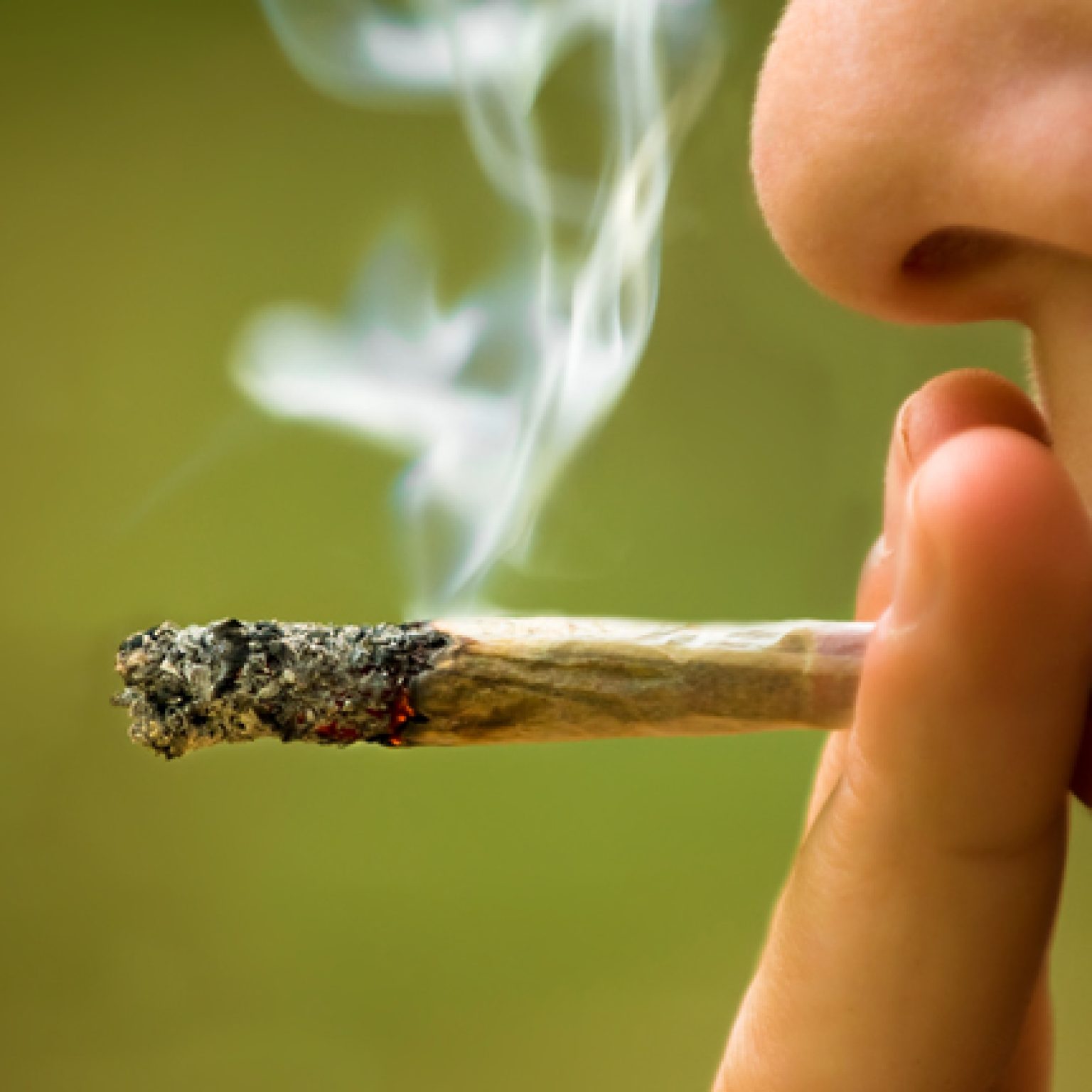 Air India Crew Member Popped for Smuggling 1.9 Kg of Marijuana