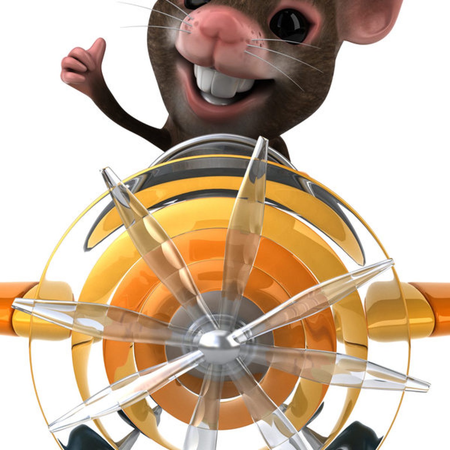 Rogue Rat Delays Air India Flight for 9 Hours Rogue Rat Delays Air India Flight for 9 Hours
