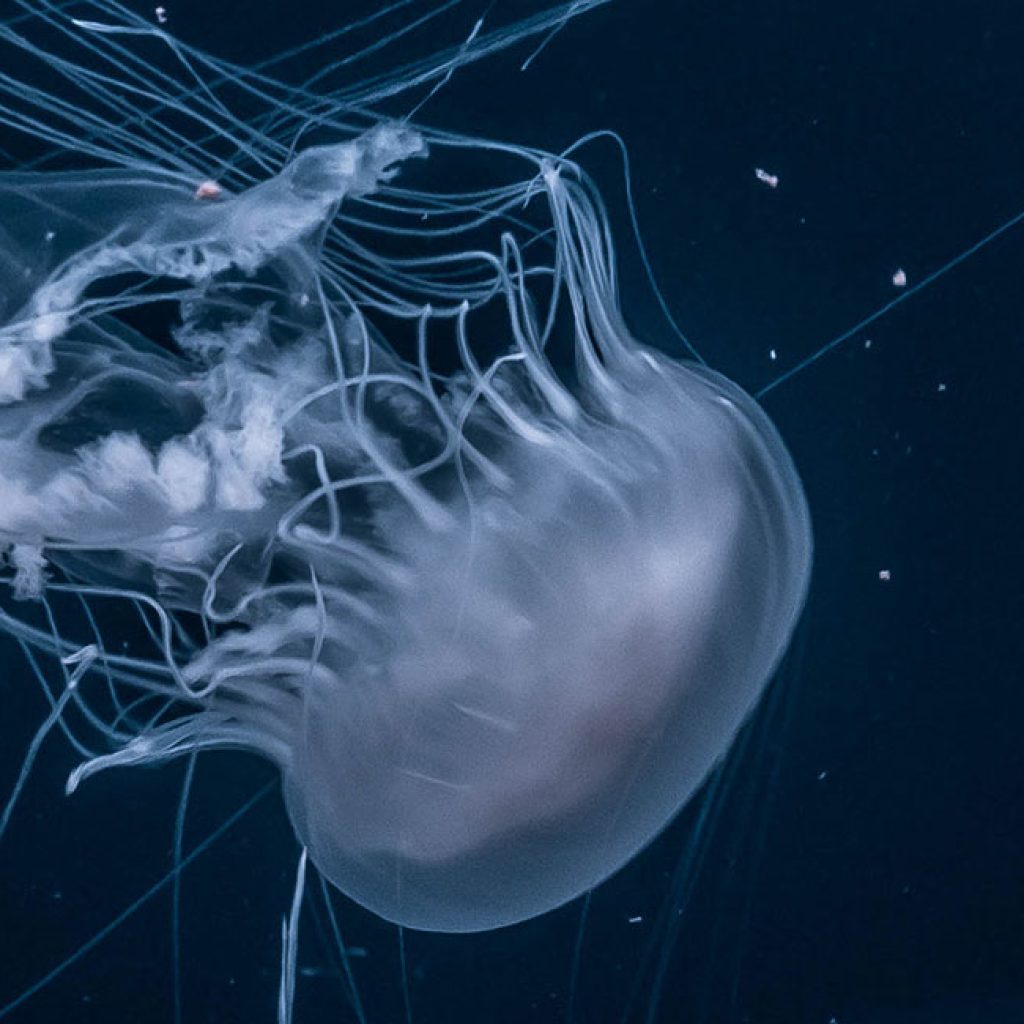 YouTuber Generously Gives Cash For Rent