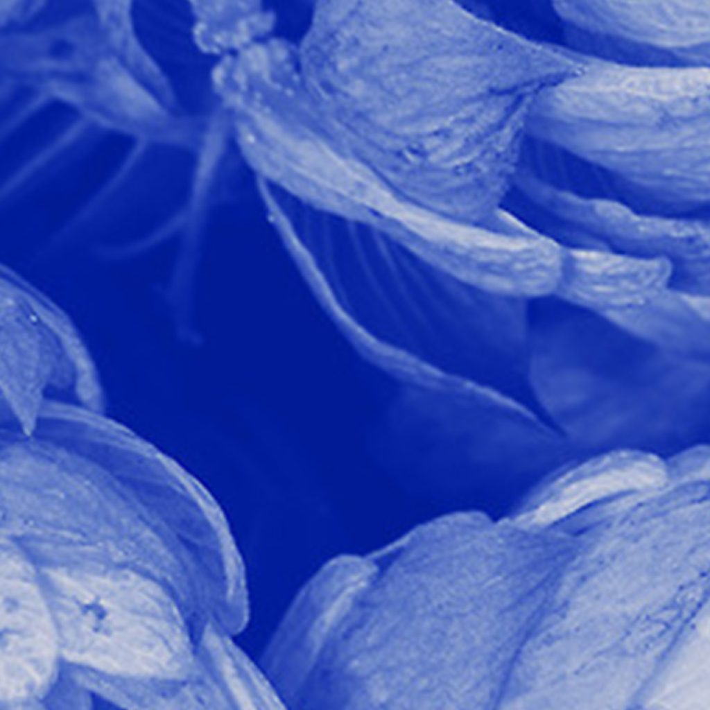 This Is the Number-One Cause of Stress