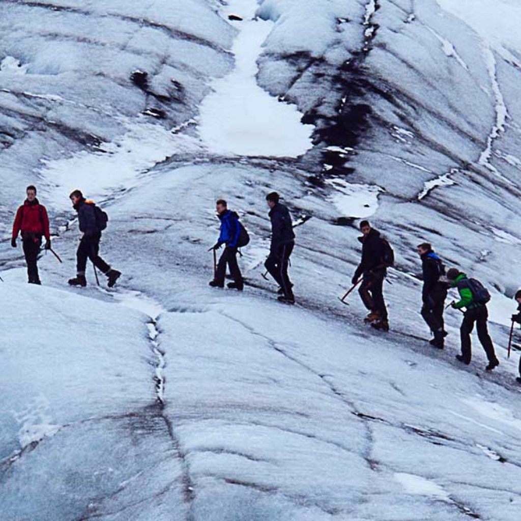 19 Things Your Landscaper Won’t Tell You