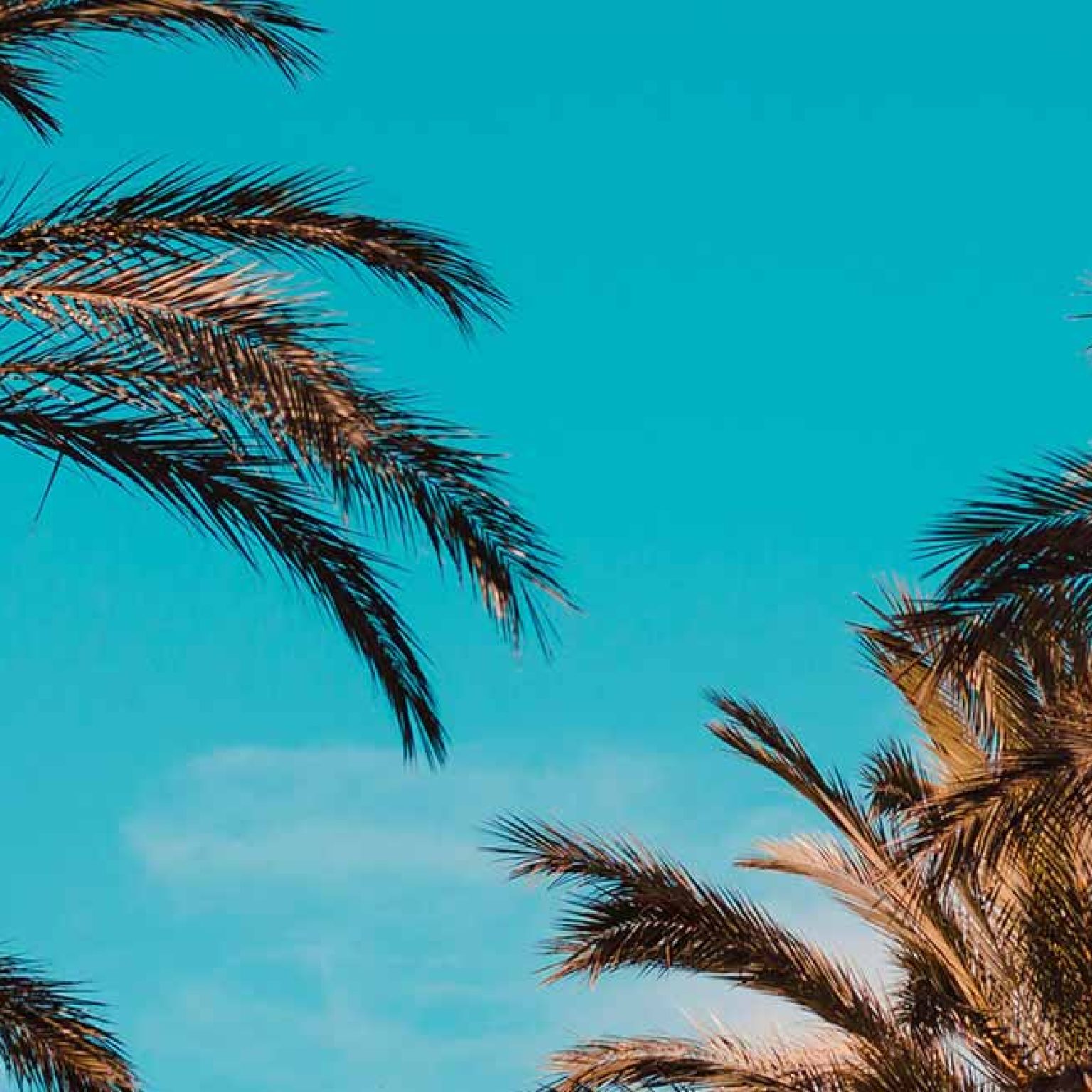 The All-American Bucket List: 50 Iconic Adventures