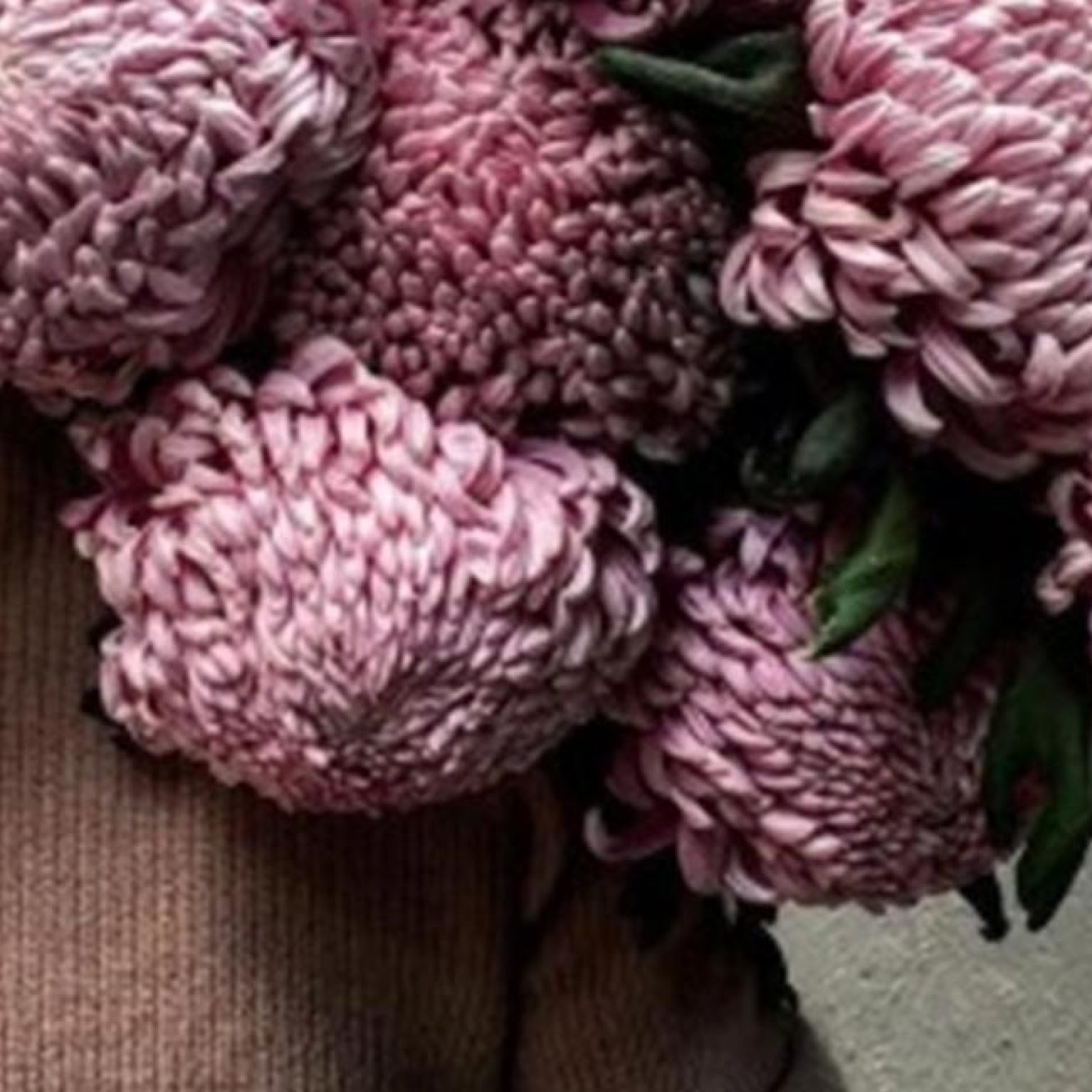 11 Strange, Obscure Global Sodas You Have to Try