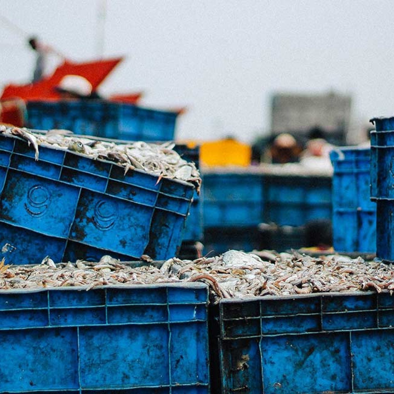 Try This Once-a-day Snack Habit To Help Protect Your Heart Try This Once-a-day Snack Habit To Help Protect Your Heart