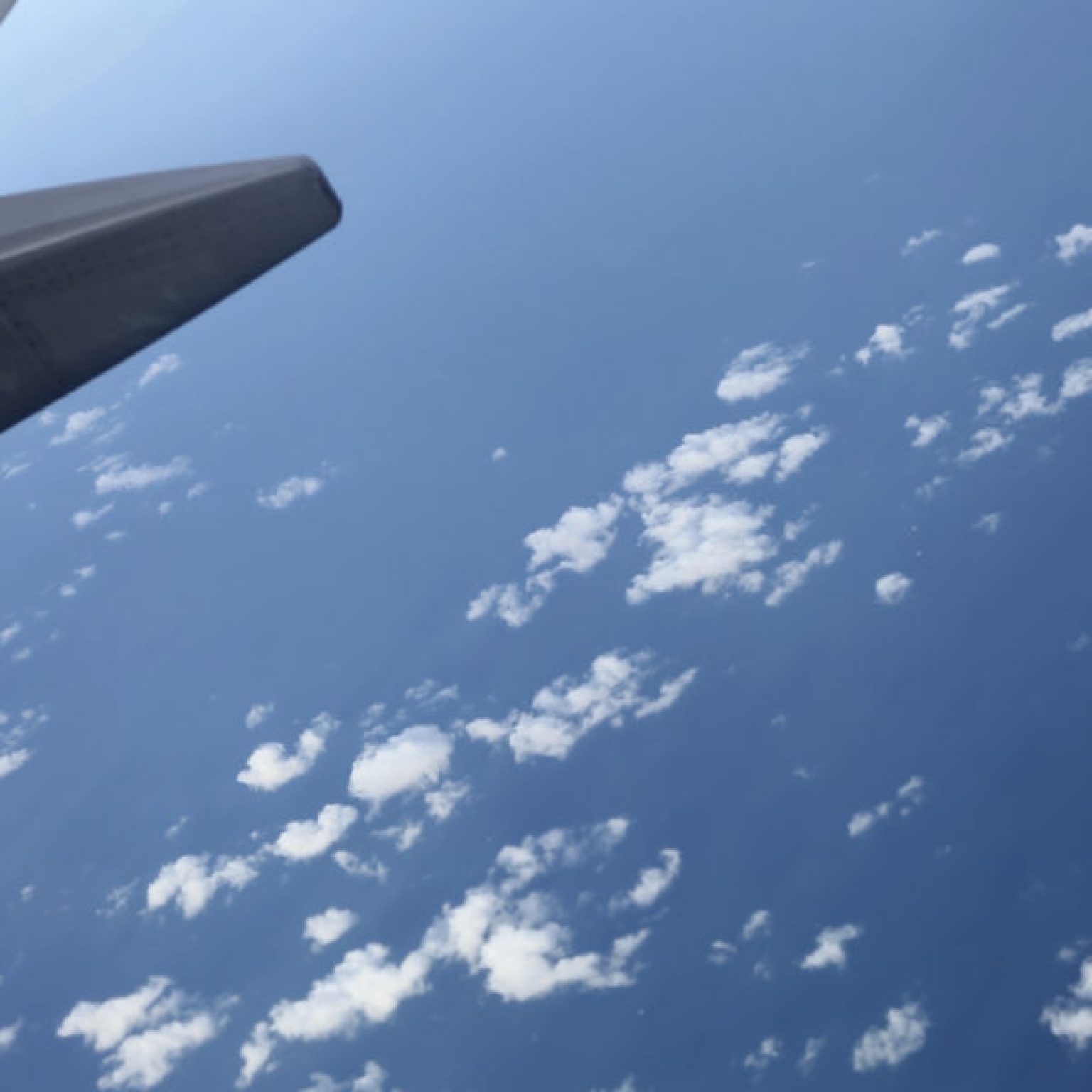 Middle East Business Leaders: White House Won’t Support End to Open Skies