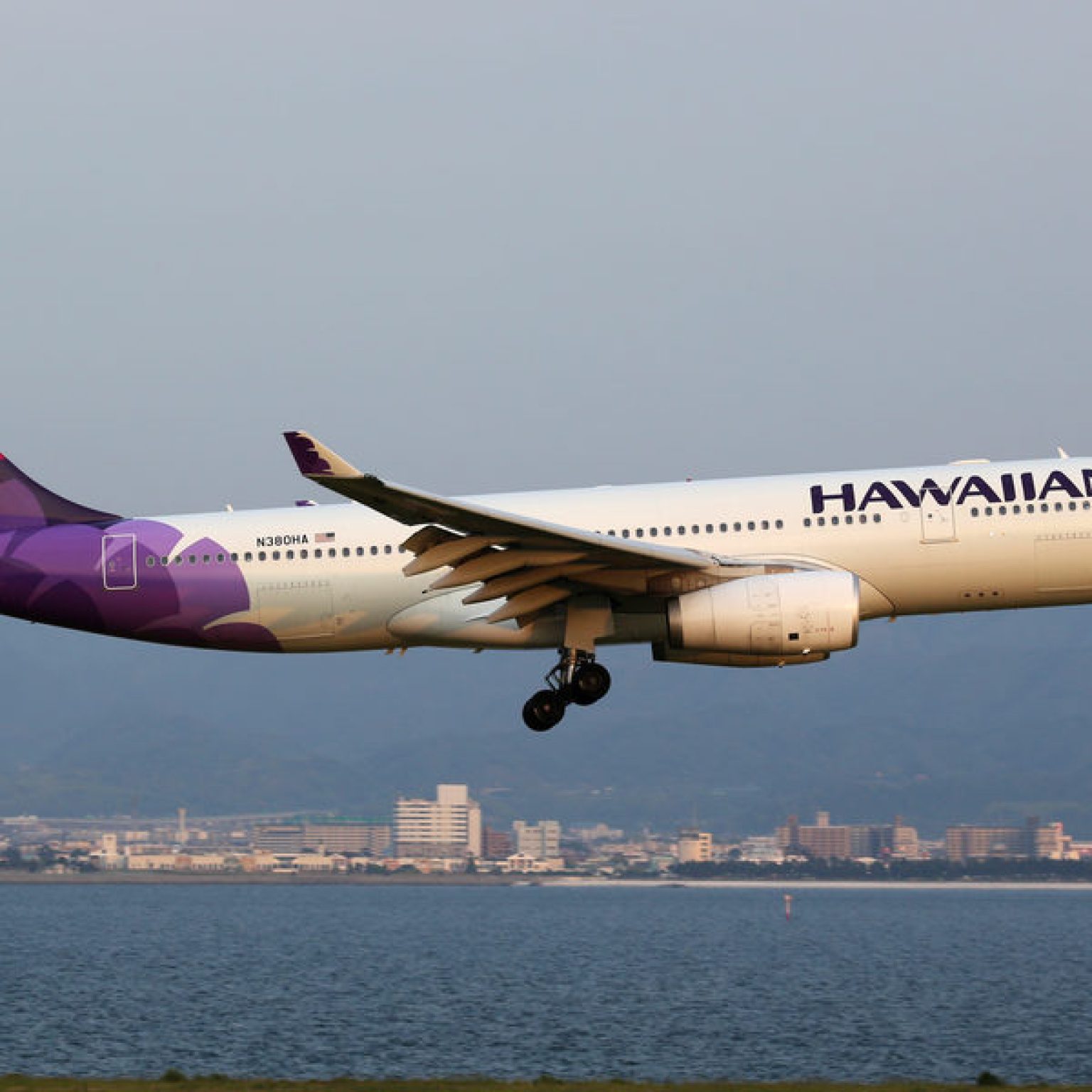 Hawaiian Bats Around Basic Economy Class