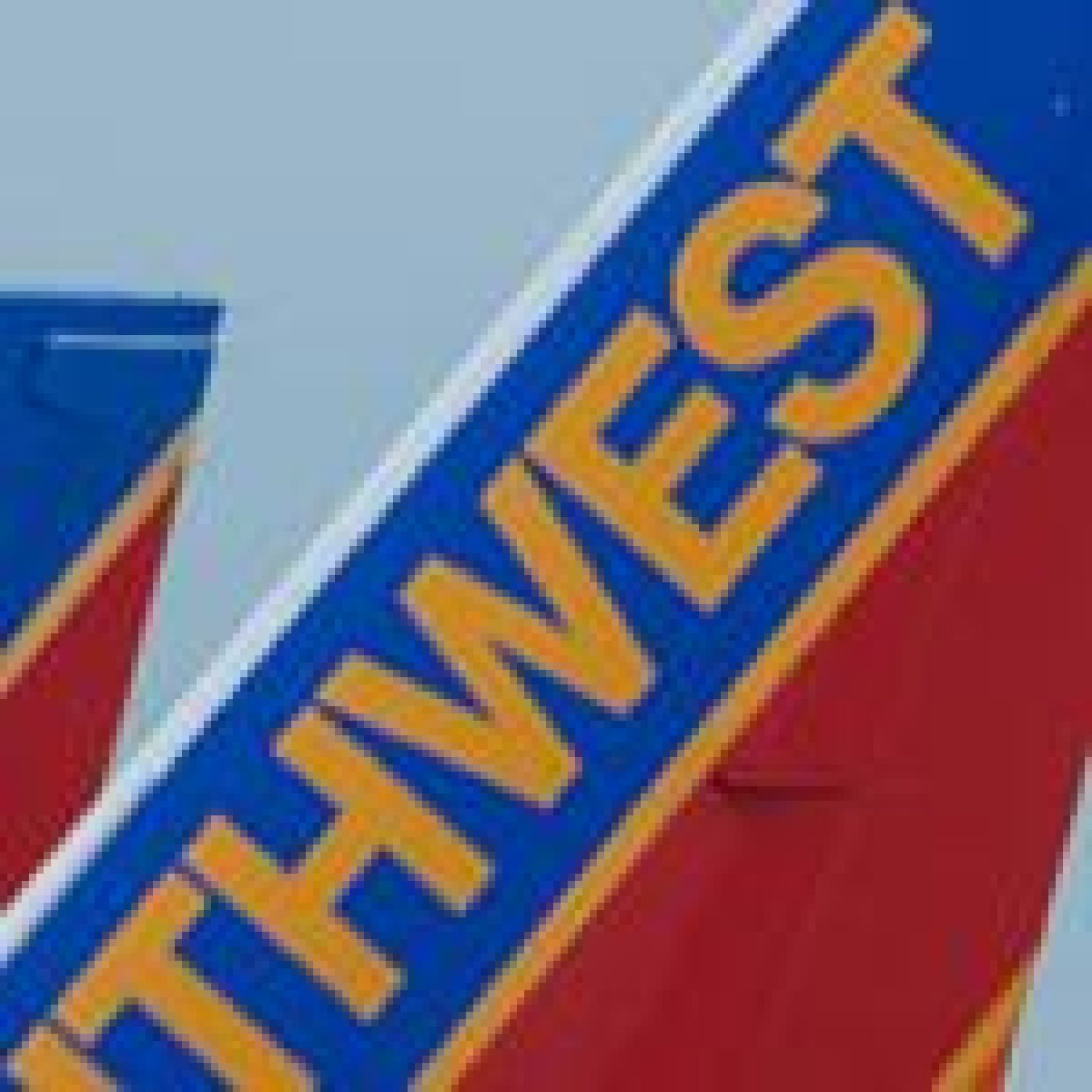 Young Girl Injured by Dog Aboard SW Flight