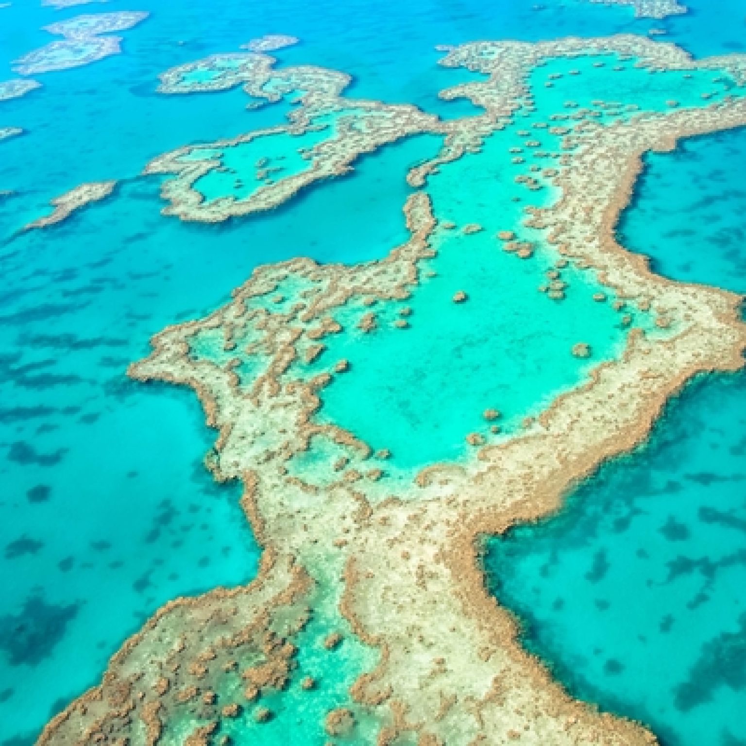 Australian Helicopter Tour Crash Kills Americans Australian Helicopter Tour Crash Kills Americans