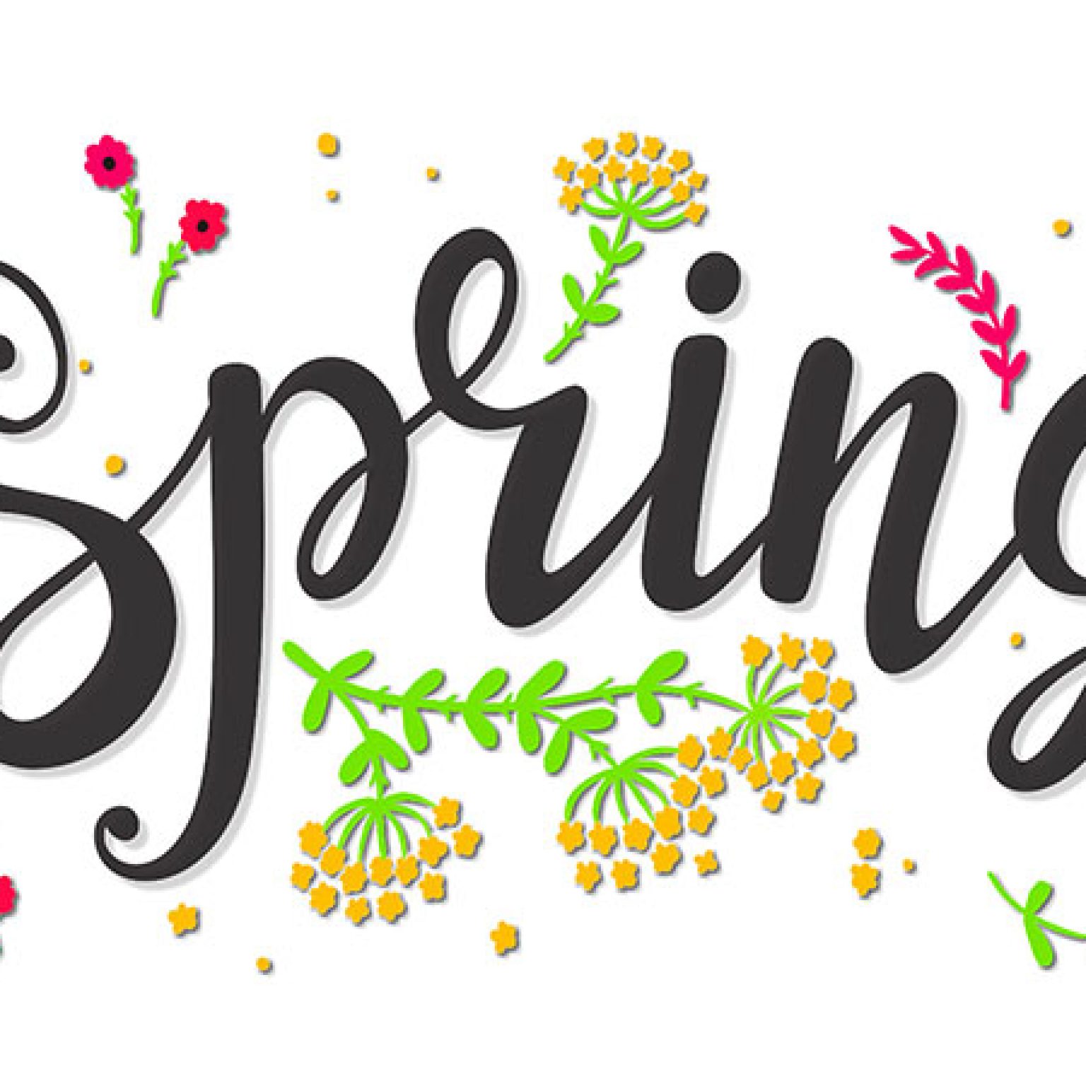 What You’ll Want This Spring What You’ll Want This Spring