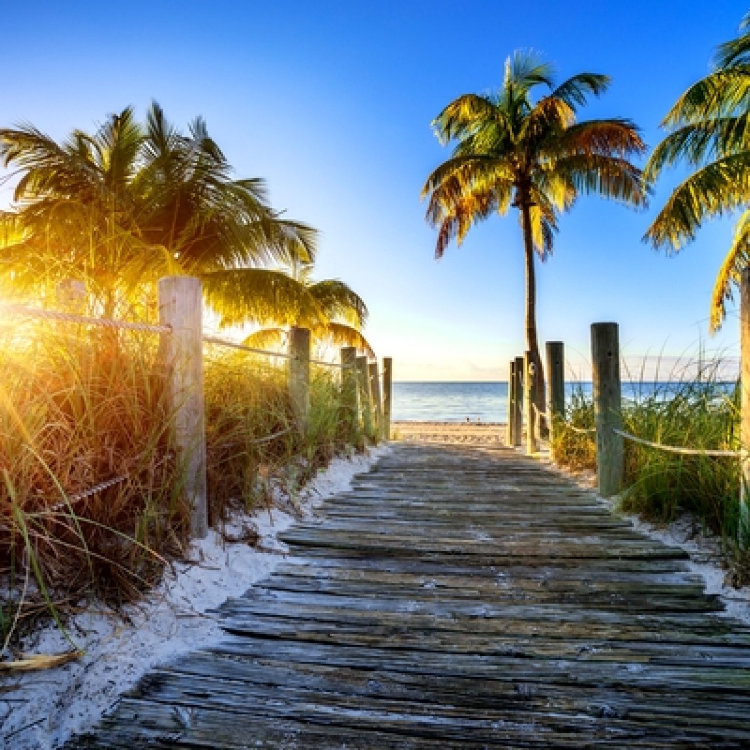 Florida Law Threatening Public Beach Access Faces Strong Opposition