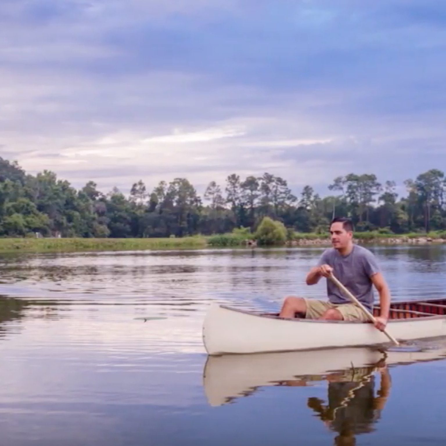 Fly to Tallahassee non-stop with American Airlines