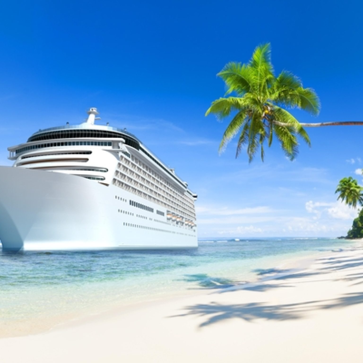 Crew Member Falls Overboard, Gets Rescued by Another Cruise Ship