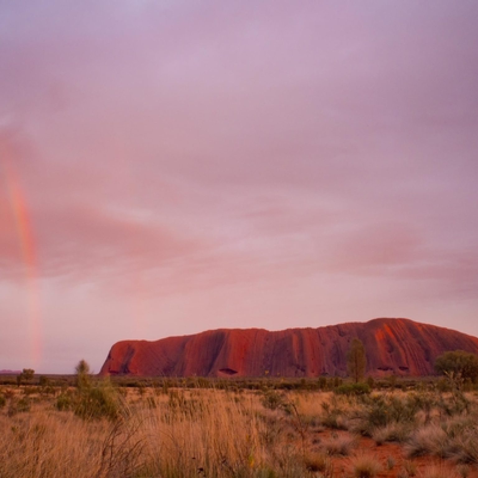 Tourist Dies Climbing Uluru in Australia