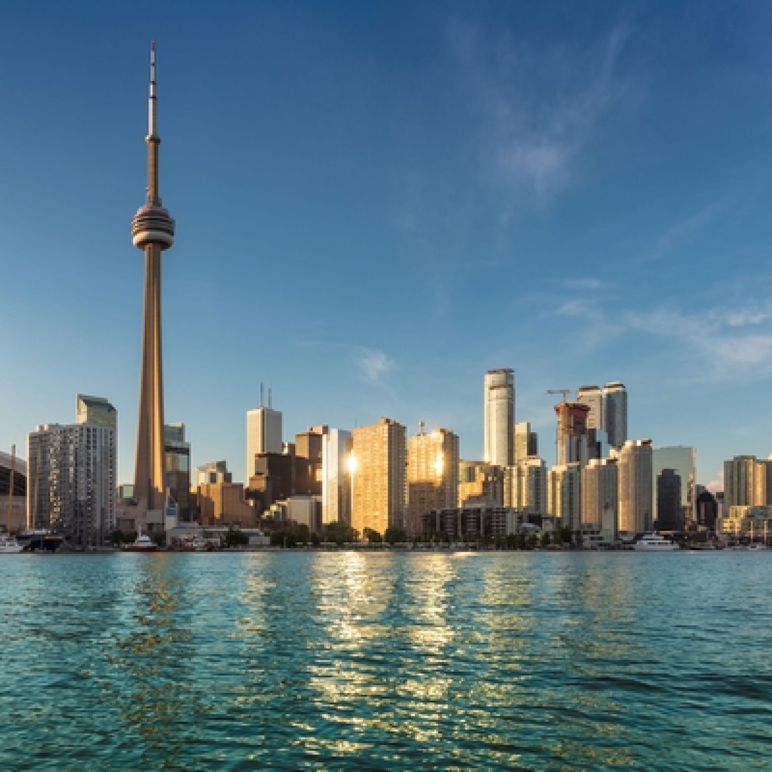 Gunman Opens Fire in Popular Tourist Area of Toronto