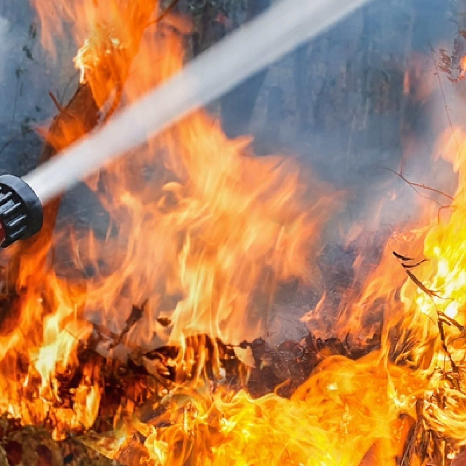 California Wildfire Claims Lives, Swallows Structures