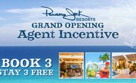 Grand Opening Agent Incentive