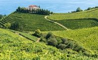 Explore Spain’s Basque Country and Save up to $1,000 per stateroom - Amawaterways Explore Spain’s Basque Country and Save up to $1,000 per stateroom