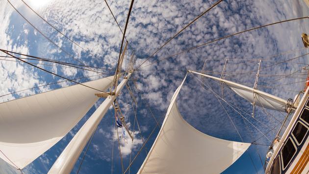 Variety Cruises' Panorama II. Variety Cruises' Panorama II.