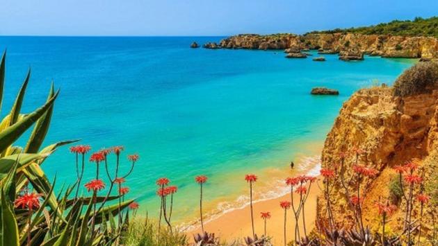 Variety Cruises Variety Cruises