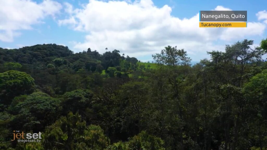 Week: February 3, 2020 Week: February 3, 2020