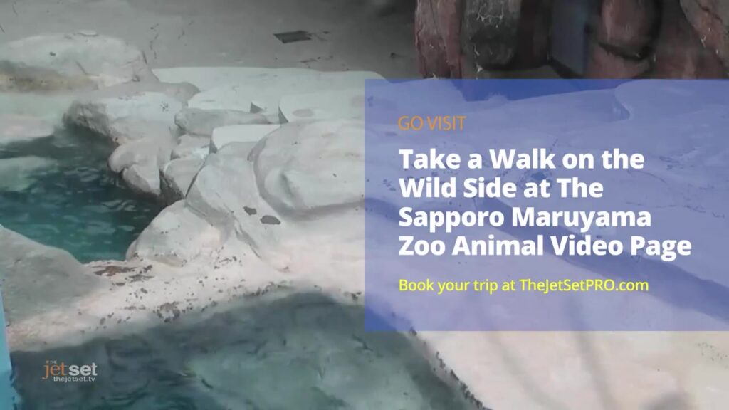 Japan 360° Virtual Reality Travel