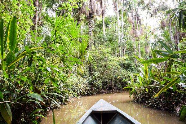 Peru, Bahamas and Puerto Rico Added to WTTC’s Safe Travels List Peru, Bahamas and Puerto Rico Added to WTTC’s Safe Travels List