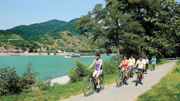 Richard Fain, Royal Caribbean