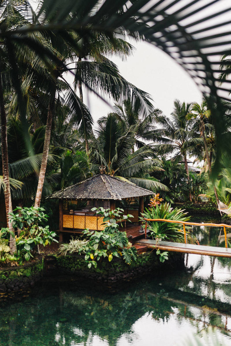 Stay off Social Media and Still Keep an Online Social Life Stay off Social Media and Still Keep an Online Social Life