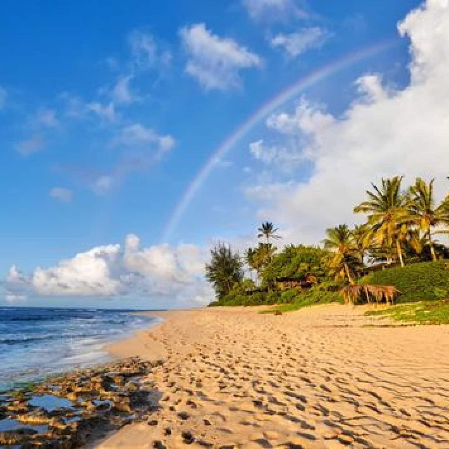 Which US States Still Have COVID-19 Restrictions? Which US States Still Have COVID-19 Restrictions?