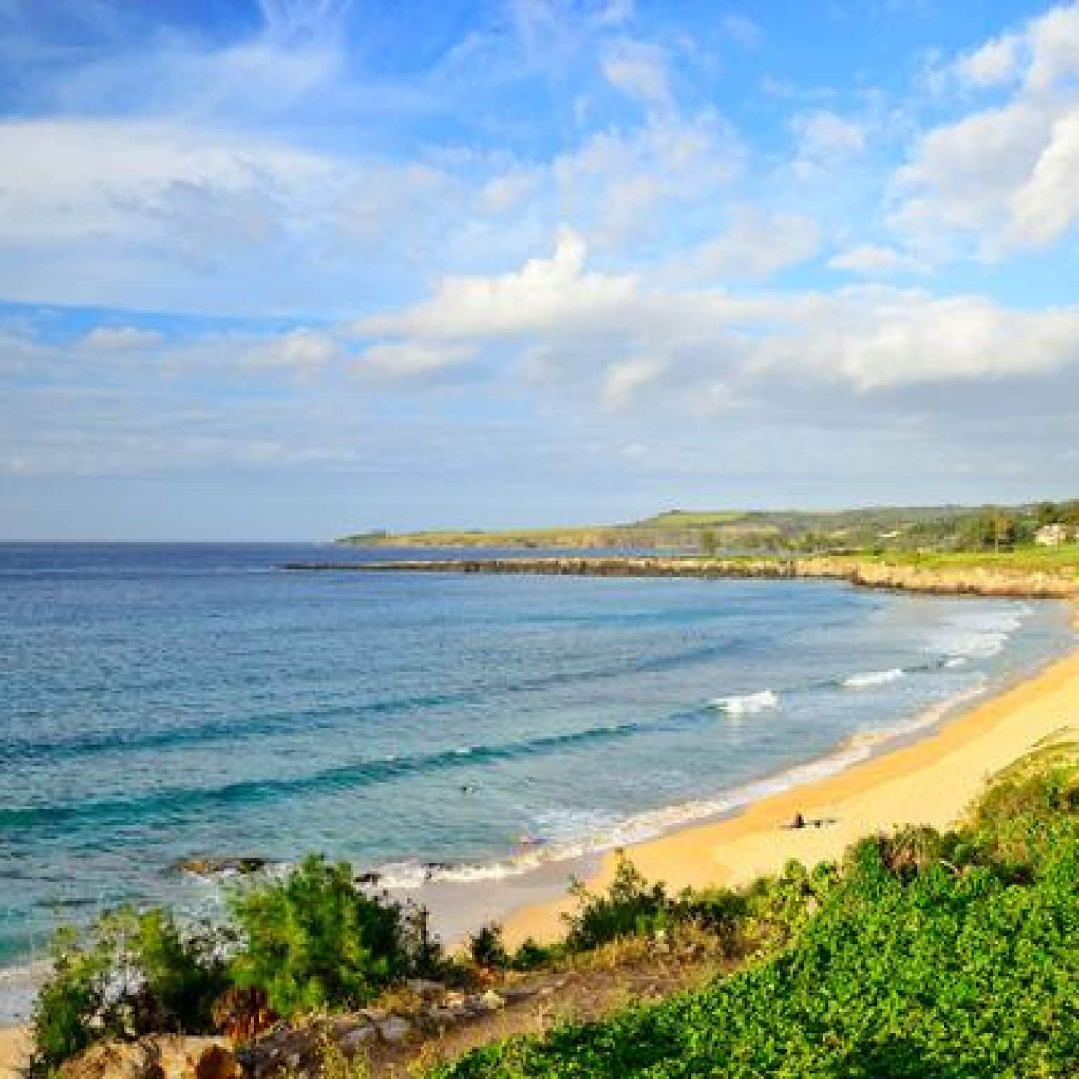 Learn What Awaits Your Clients in Hawaii Learn What Awaits Your Clients in Hawaii