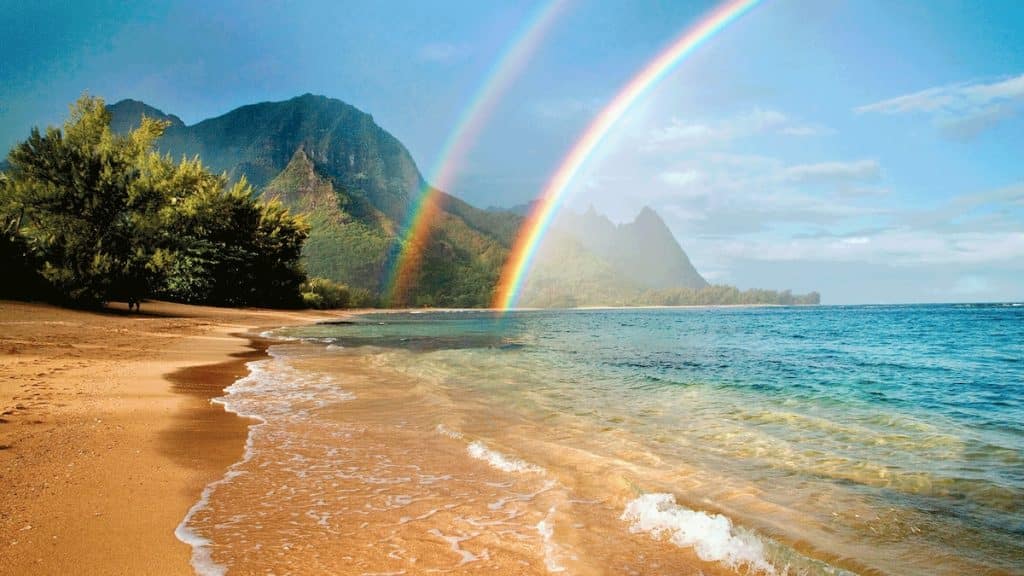 hawaii tourism