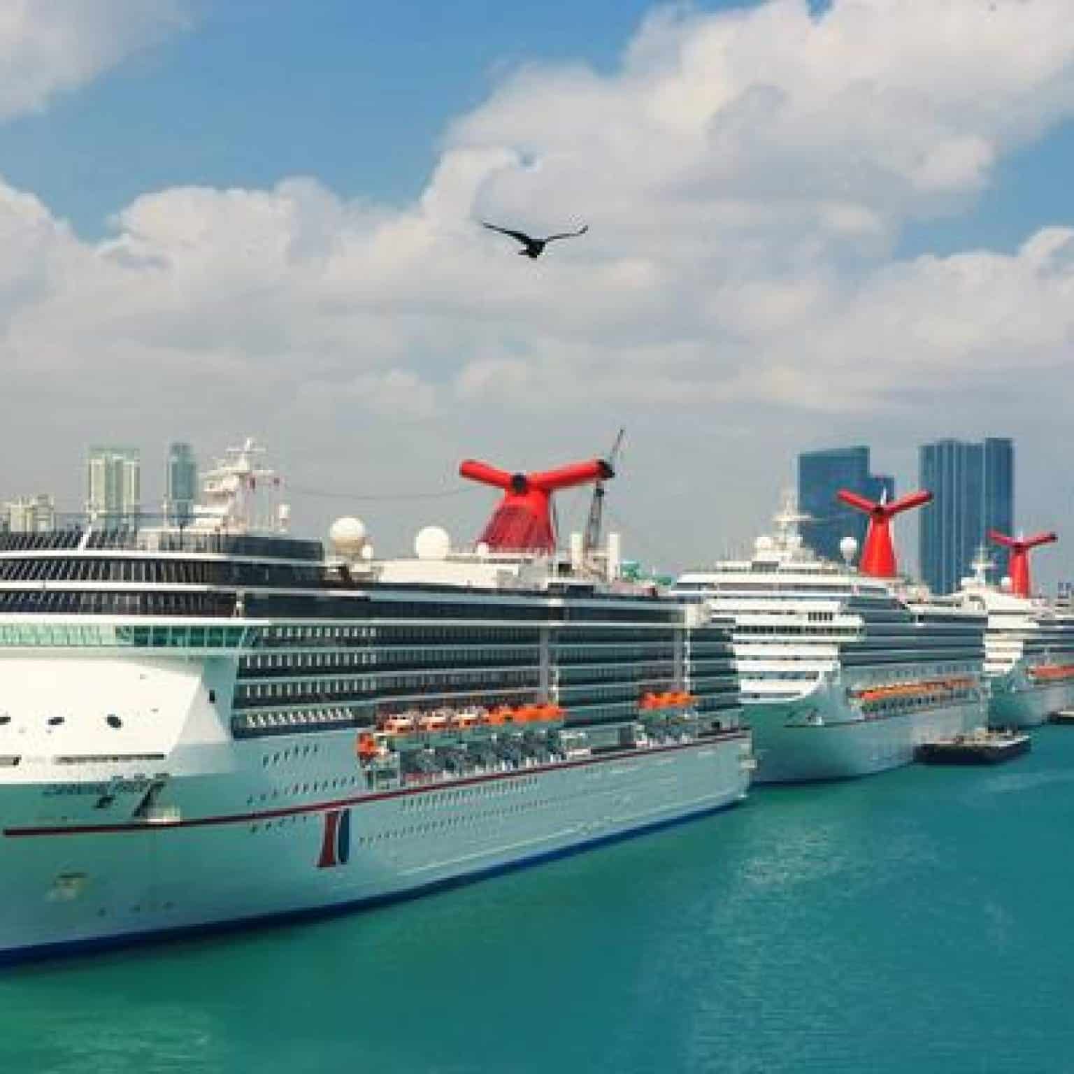 CDC Reports Number of COVID-19 Cases on US Cruise Ships From Past Four Months CDC Reports Number of COVID-19 Cases on US Cruise Ships From Past Four Months