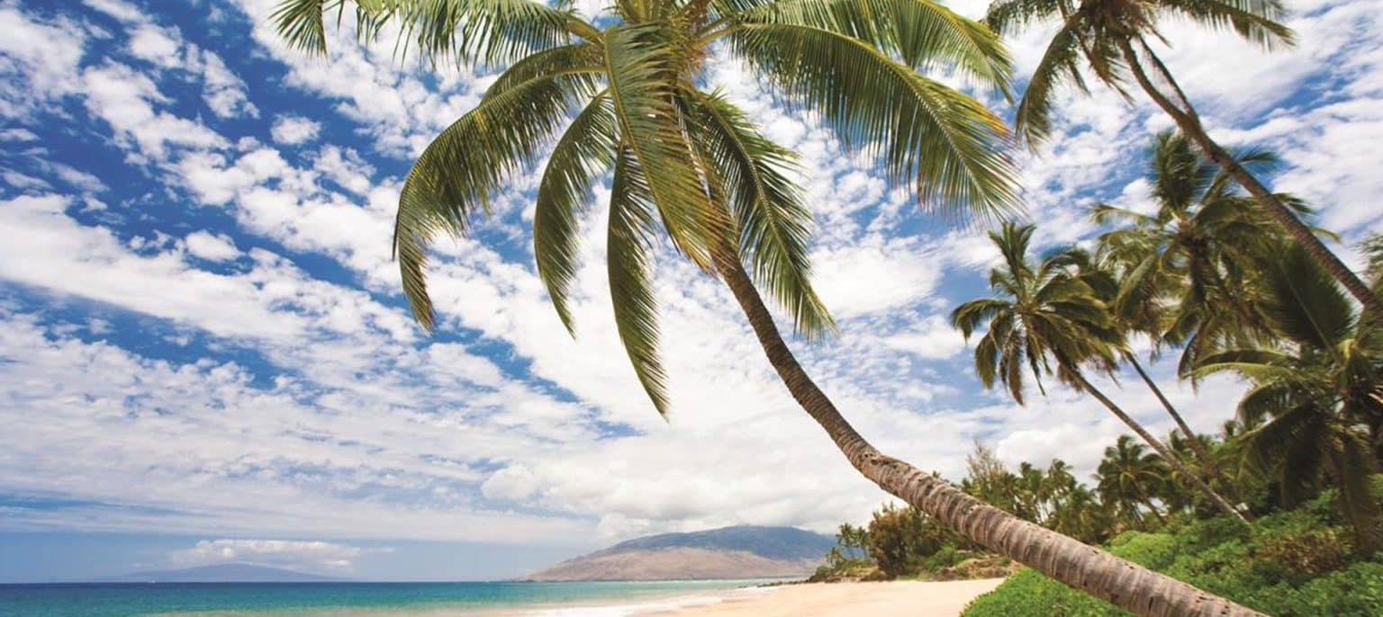 Hawaii’s COVID19 Policy for Travelers Likely to Stay into Next Year