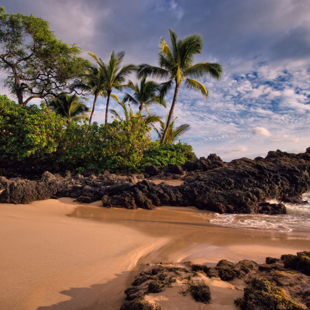 maui wildfires
