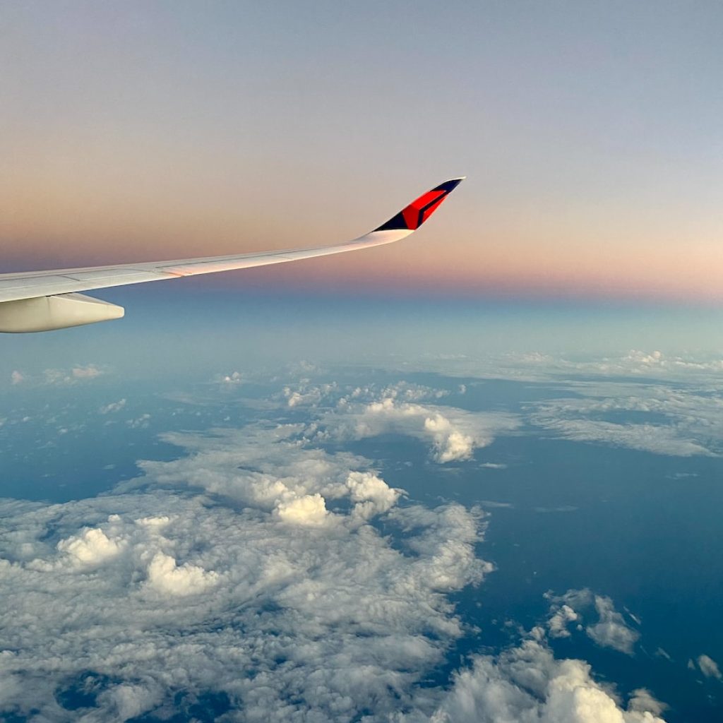 A woman from the Dominican Republic says that Delta lost her dog