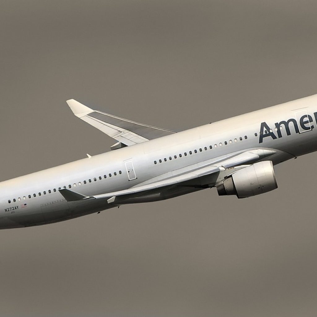 american airline, male flight attendant