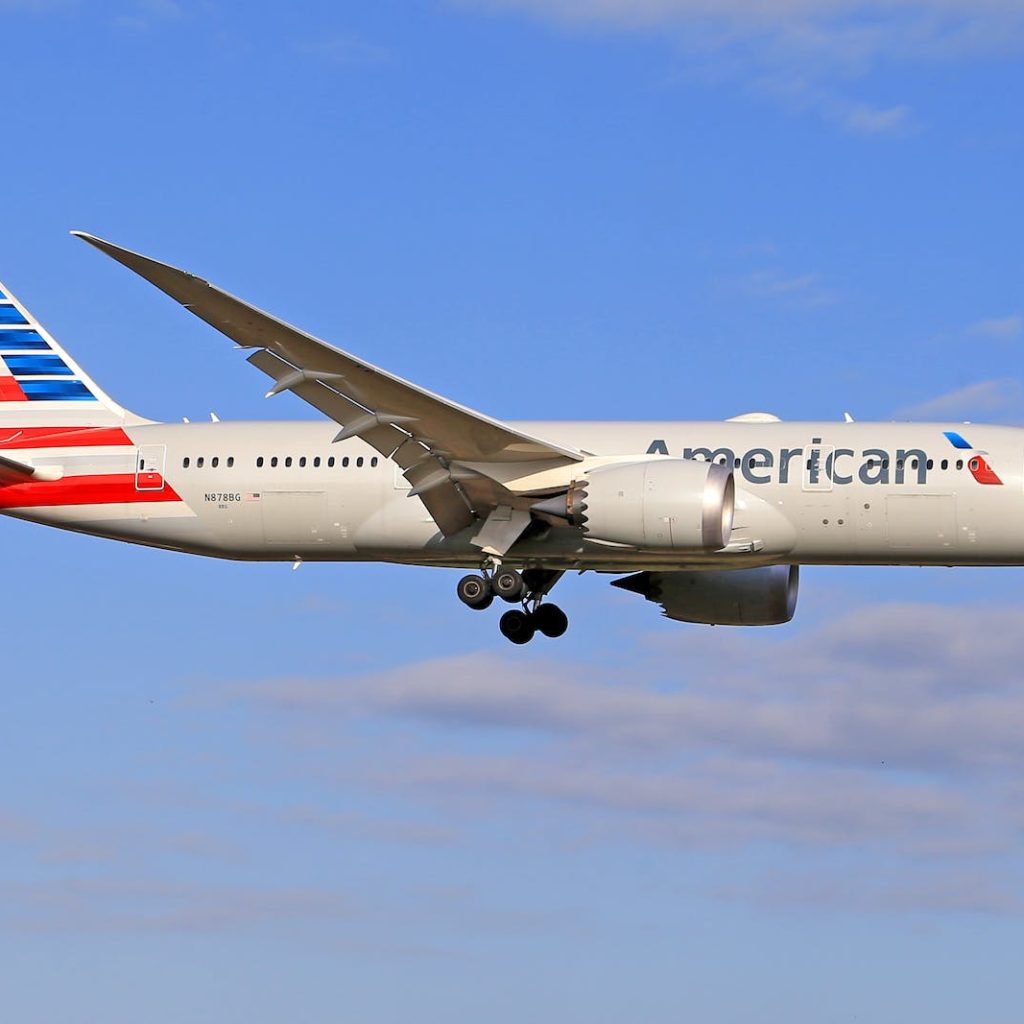 American Airlines Passenger Who Attacked a Flight Attendant and Officers Could Face 20 Years in Prison