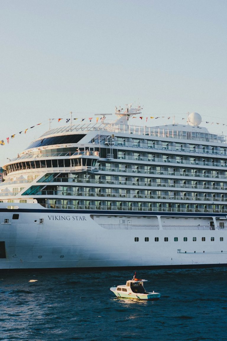a large cruise ship in a body of water