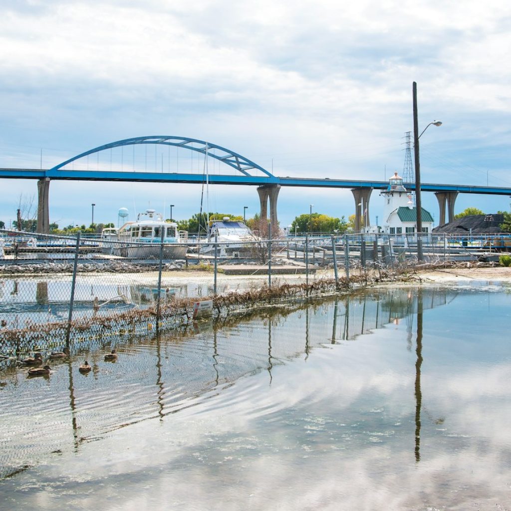 people walking on beach near bridge during daytime