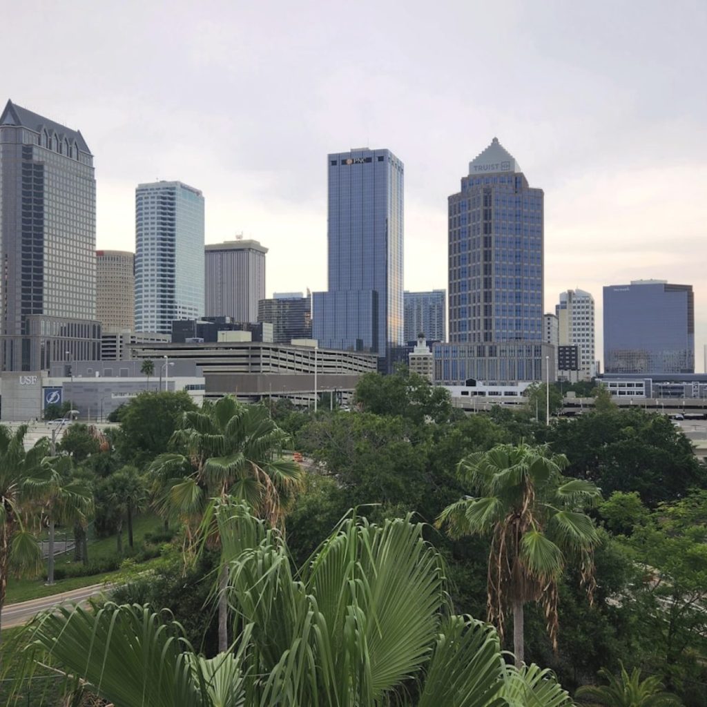 a city skyline with palm trees