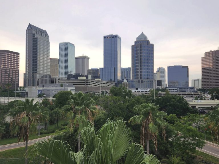 a city skyline with palm trees