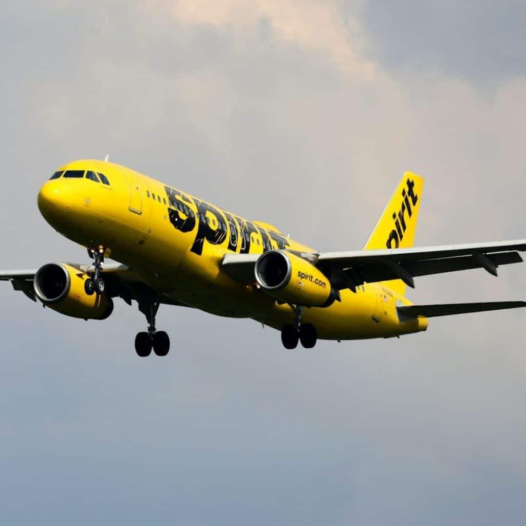 Trump hits government buyout on Spirit Airlines