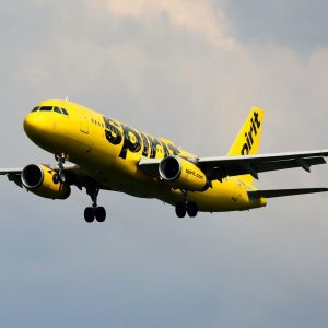 Spirit Airlines data AI training